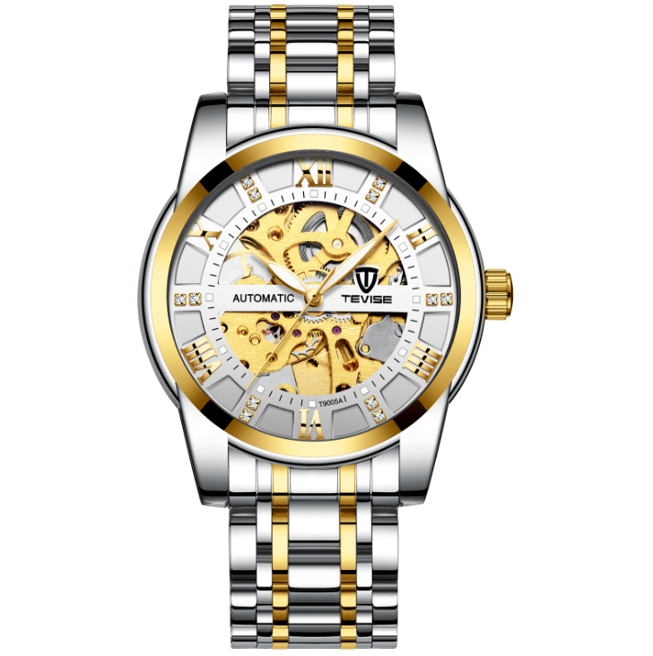 Mechanical Hollow Men's Watch